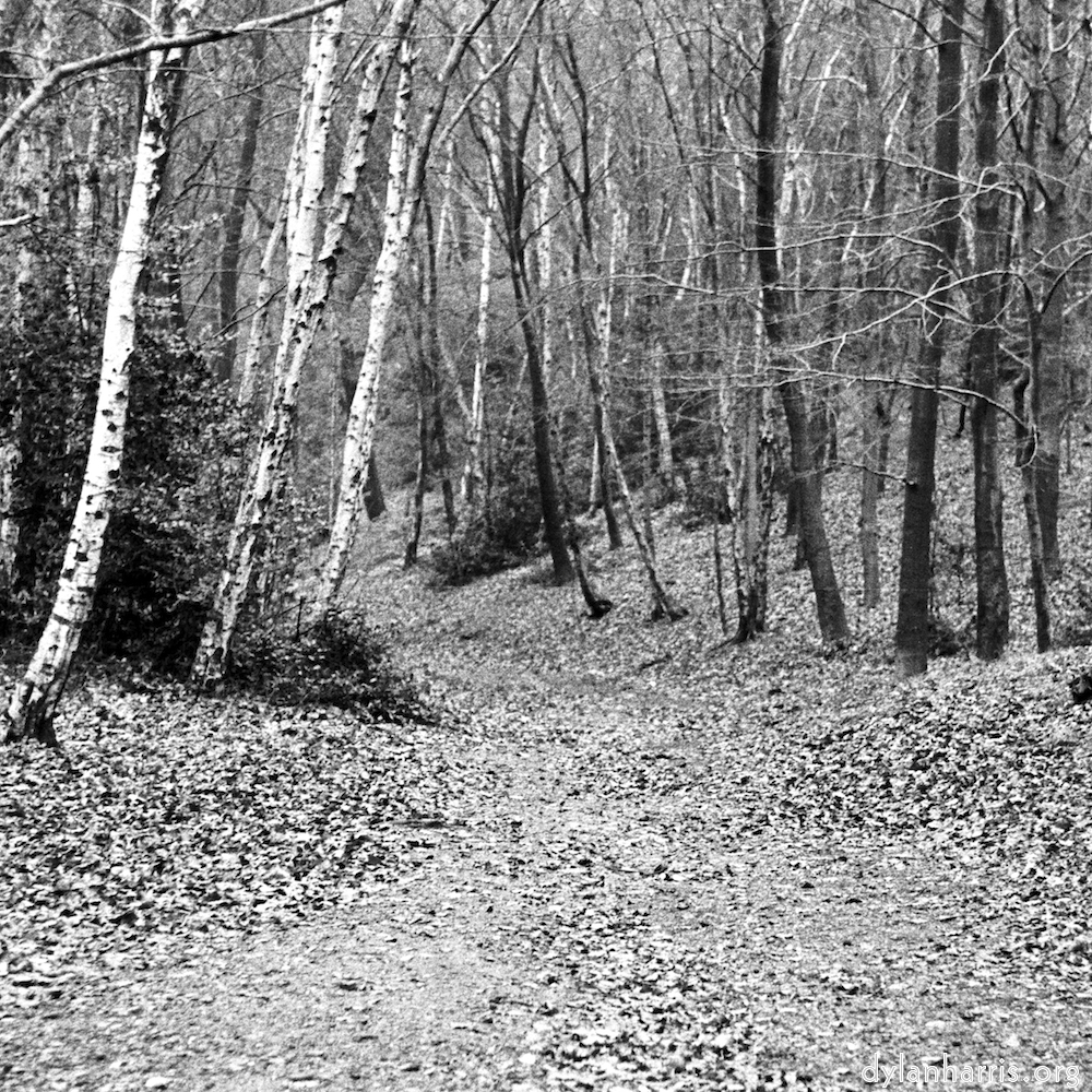 image: This is ‘
wood (v) 4
’.