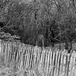 image: Image from the photoset ‘
untitled (v)
’.