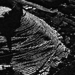 image: Image from the photoset ‘
untitled (i)
’.