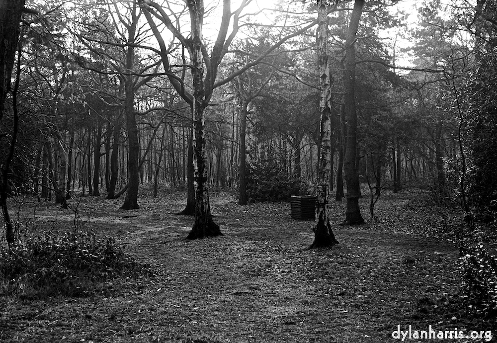 image: This is ‘
wood (vi) 1
’.