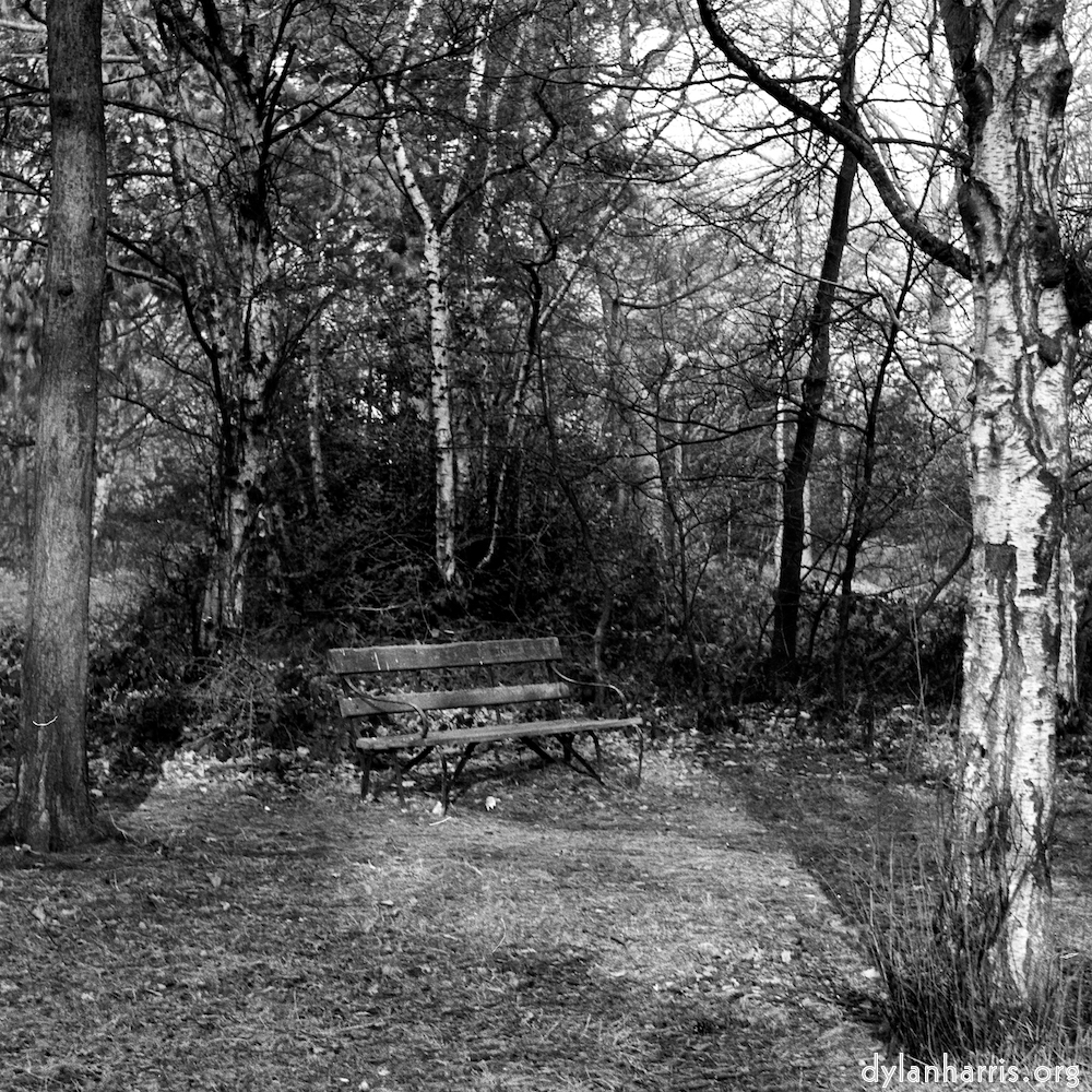 Image: Image 'wood (xxv) 1'.