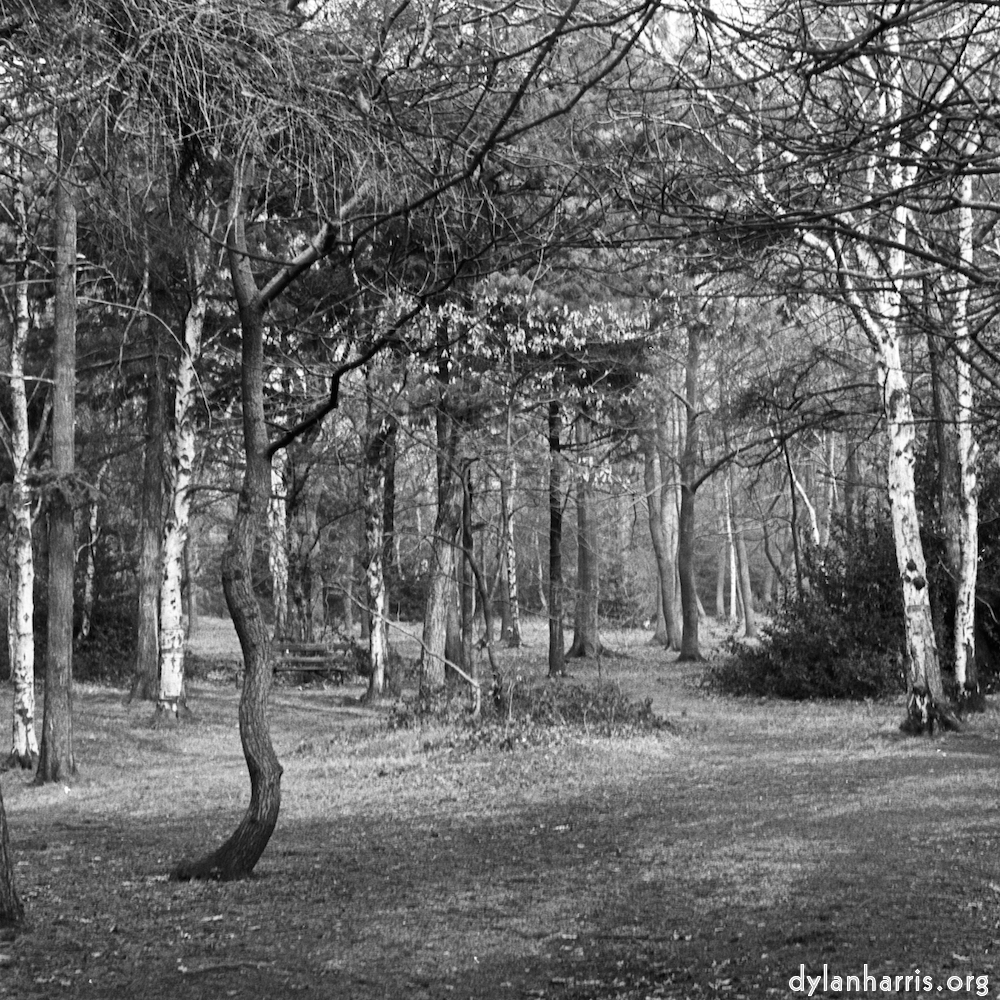 image: This is ‘
wood (xxv) 9
’.