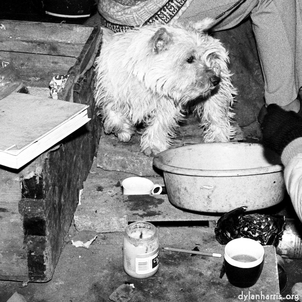 image: This is ‘
daws hill (i) 2
’.