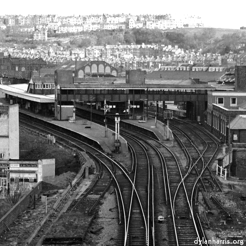 Image: Image 'YLs (i) 1'.