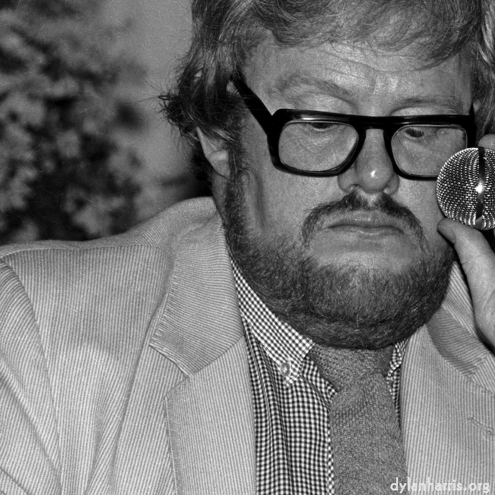 Image: Image 'YLs (i) 5'.