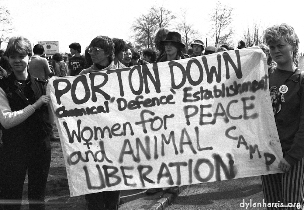 Image: Image 'daws hill (iv) 6'.