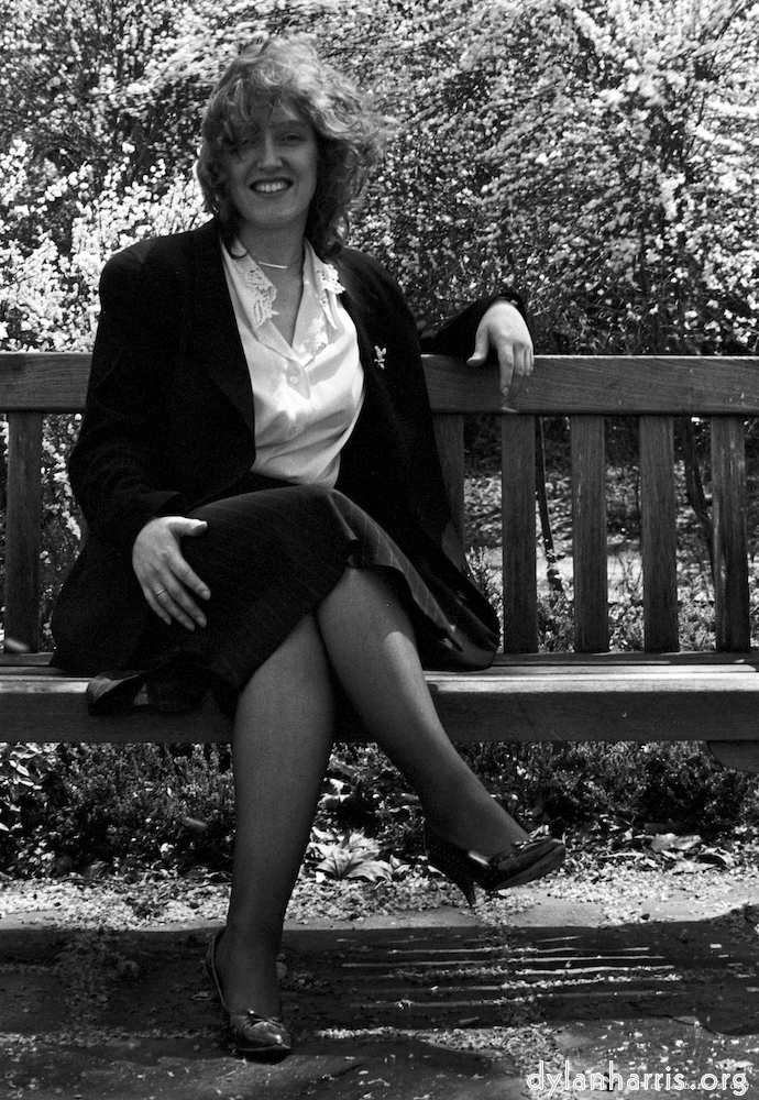 Image: Image 'YLs (iv) 2'.