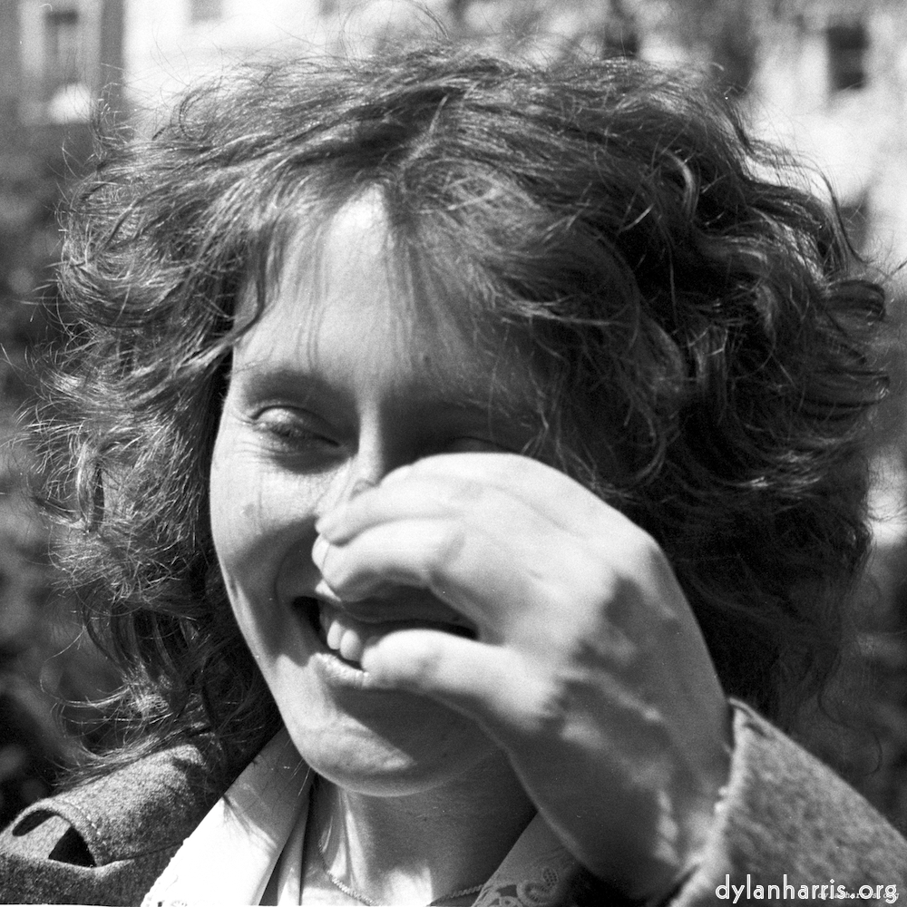 Image: Image 'YLs (iv) 3'.