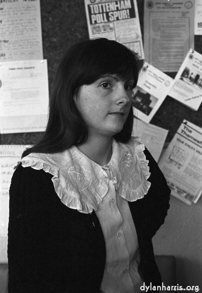 Image: Image 'YLs (v) 2'.