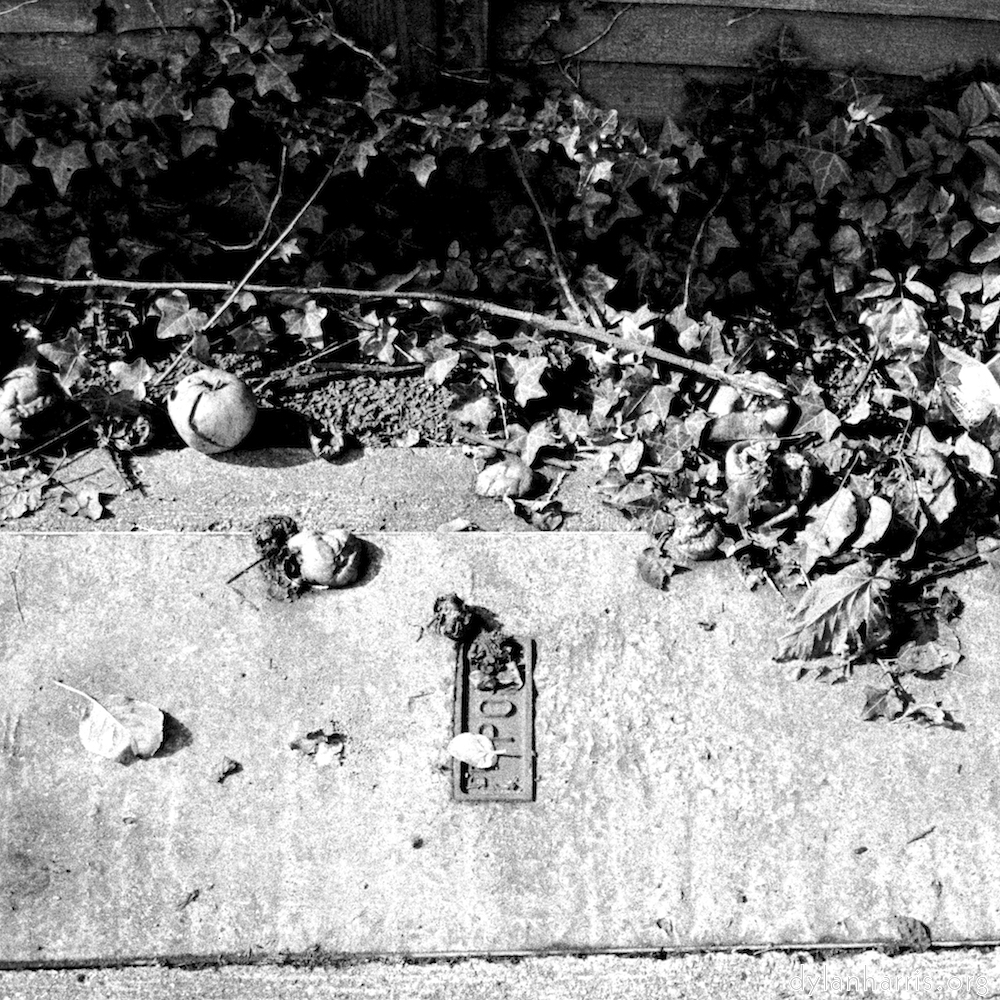 image: This is ‘
untitled (iv) 3
’.