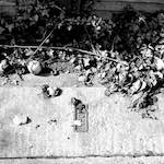 image: Image from the photoset ‘
untitled (iv)
’.