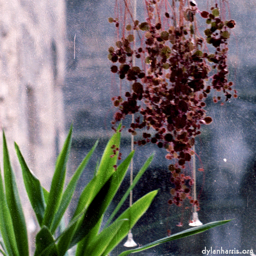 image: This is ‘
travel 6
’.