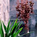 image: Image from the photoset ‘
travel
’.