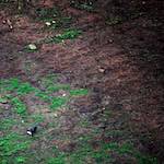 Image: First image from the photoset 'edinburgh (xii)'.