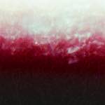 Image: First image from the photoset 'fire (xv)'.