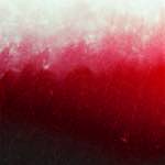 Image: Third image from the photoset 'fire (xv)'.