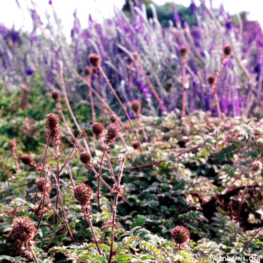 Image 'sculpture (ii) 4'.