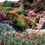 Image: Second image from the photoset 'sculpture (ii)'.