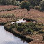 Image: Fourth image from the photoset 'edinburgh (xiii)'.