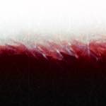 Image: First image from the photoset 'fire (xvi)'.