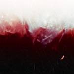 Image: Third image from the photoset 'fire (xvi)'.