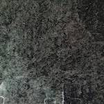 Image: Fourth image from the photoset 'edinburgh (xiv)'.