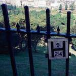 First image from the photoset 'edinburgh (xv)'.