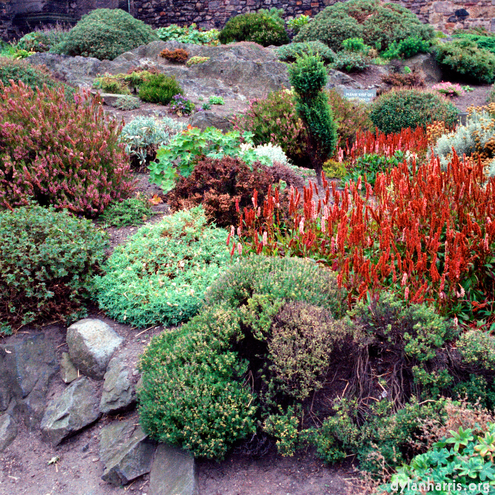 Image 'edinburgh (xvi) 3'.