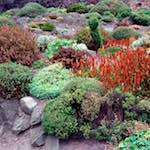 Image: Third image from the photoset 'edinburgh (xvi)'.