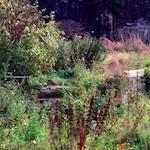 Image: Seventh image from the photoset 'edinburgh (xvi)'.