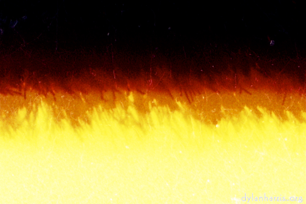 Image: Image 'abstract (xvii) 1'.