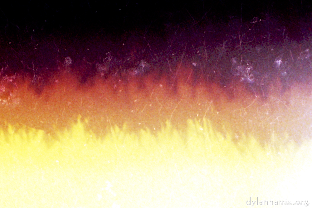 Image: Image 'abstract (xvii) 4'.