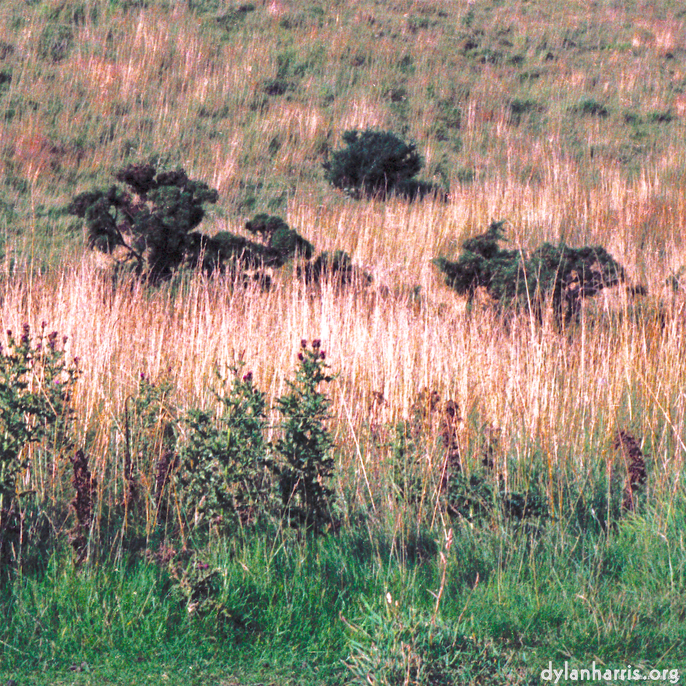 Image 'edinburgh (xix) 6'.