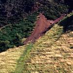 Image: Third image from the photoset 'edinburgh (xix)'.