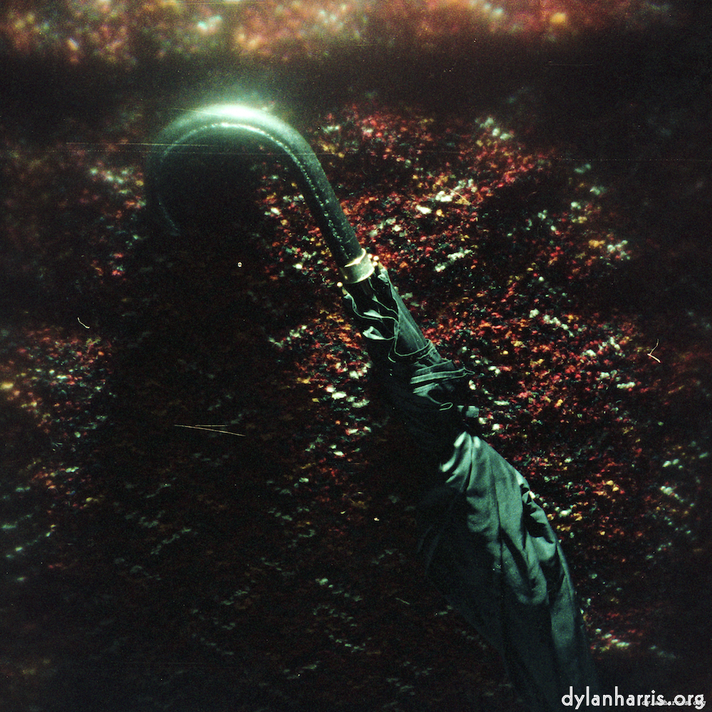 Image 'auto (iv) 4'.