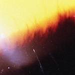 First image from the photoset 'fire (xxiv)'.