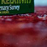 Image: Second image from the photoset 'norwich (iii)'.