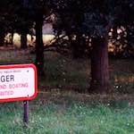 Image: Third image from the photoset 'norwich (iii)'.