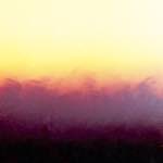 Image: Fifth image from the photoset 'fire (xxv)'.