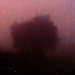 Image: Fourth image from the photoset 'norwich (v)'.