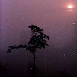 Image: Fifth image from the photoset 'norwich (v)'.