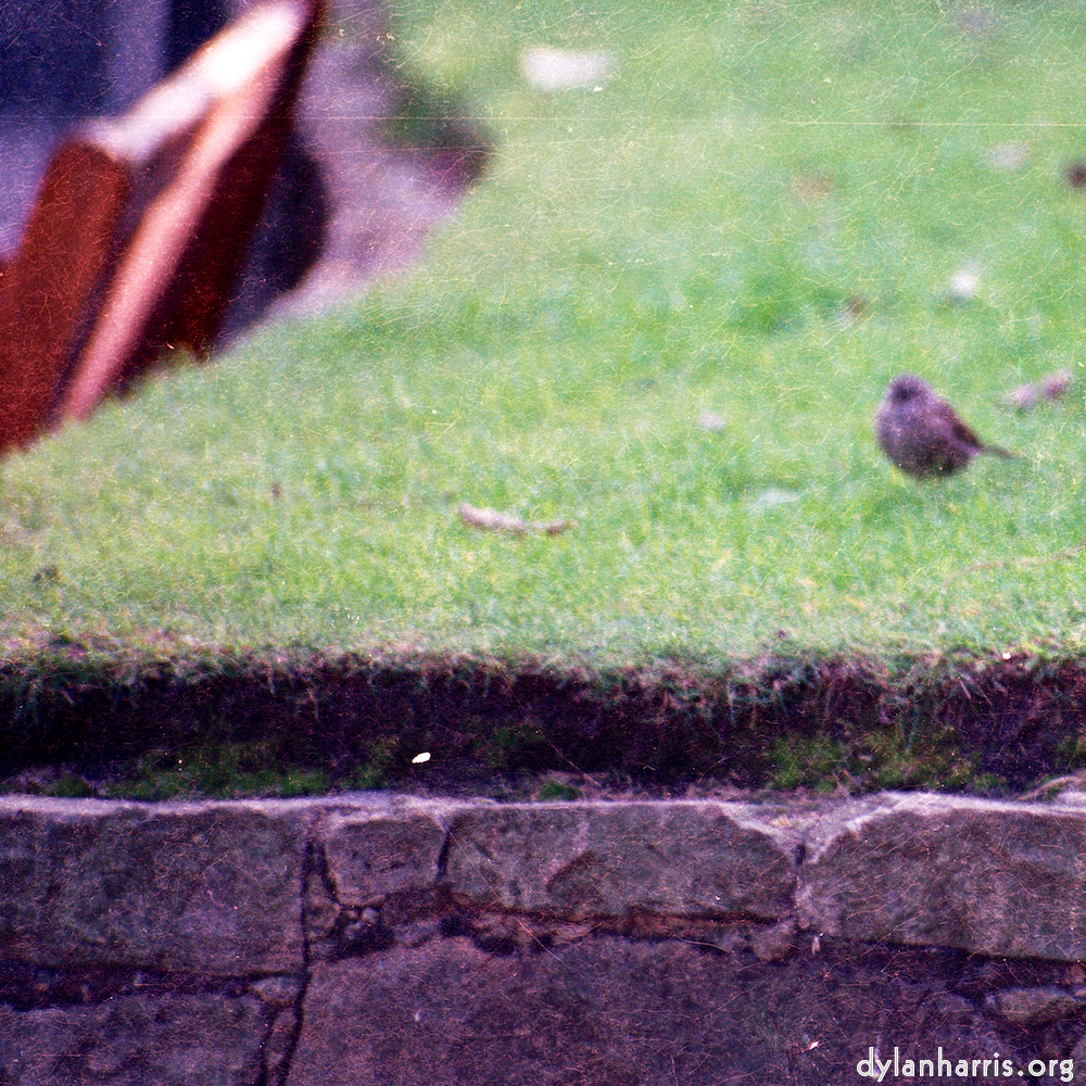 Image 'edinburgh (ii) 2'.