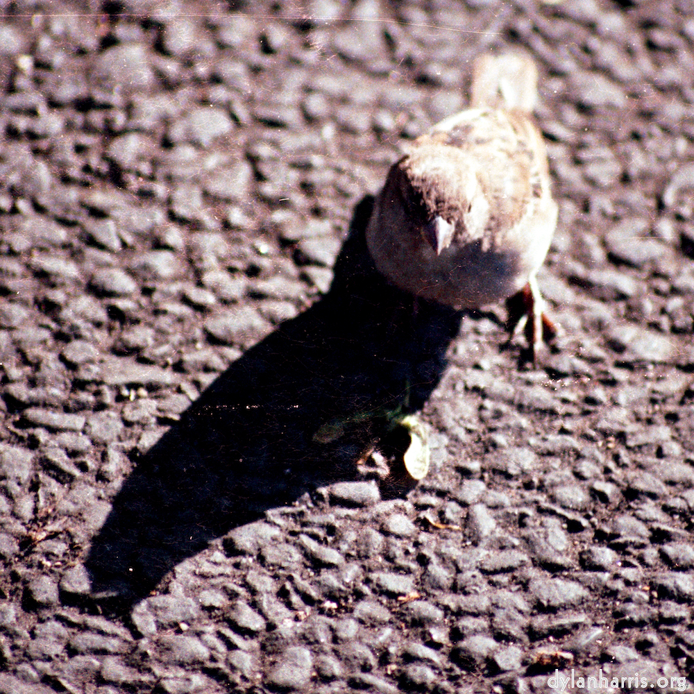 Image: Image 'edinburgh (ii) 3'.