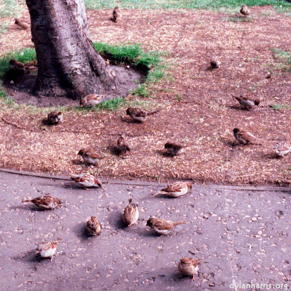 Image 'edinburgh (ii) 9'.