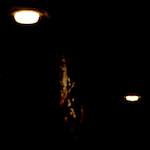 Image: First image from the photoset 'norwich (vi)'.