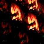 Image: Second image from the photoset 'apparently'.