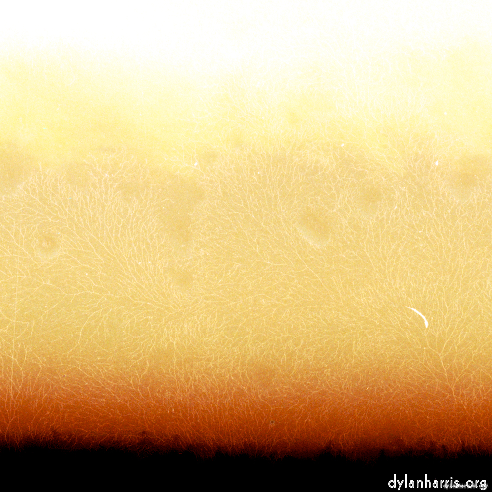 Image: Image 'fire (v) 2'.