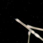 Image: Third image from the photoset 'abstract (viii)'.