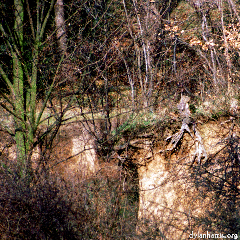 Image: Image 'auto (v) 1'.