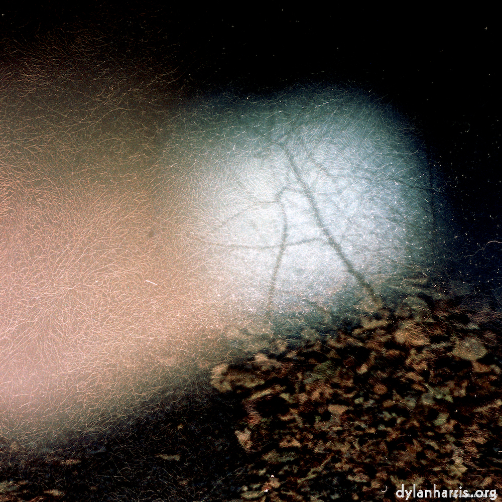 Image: Image 'auto (v) 2'.